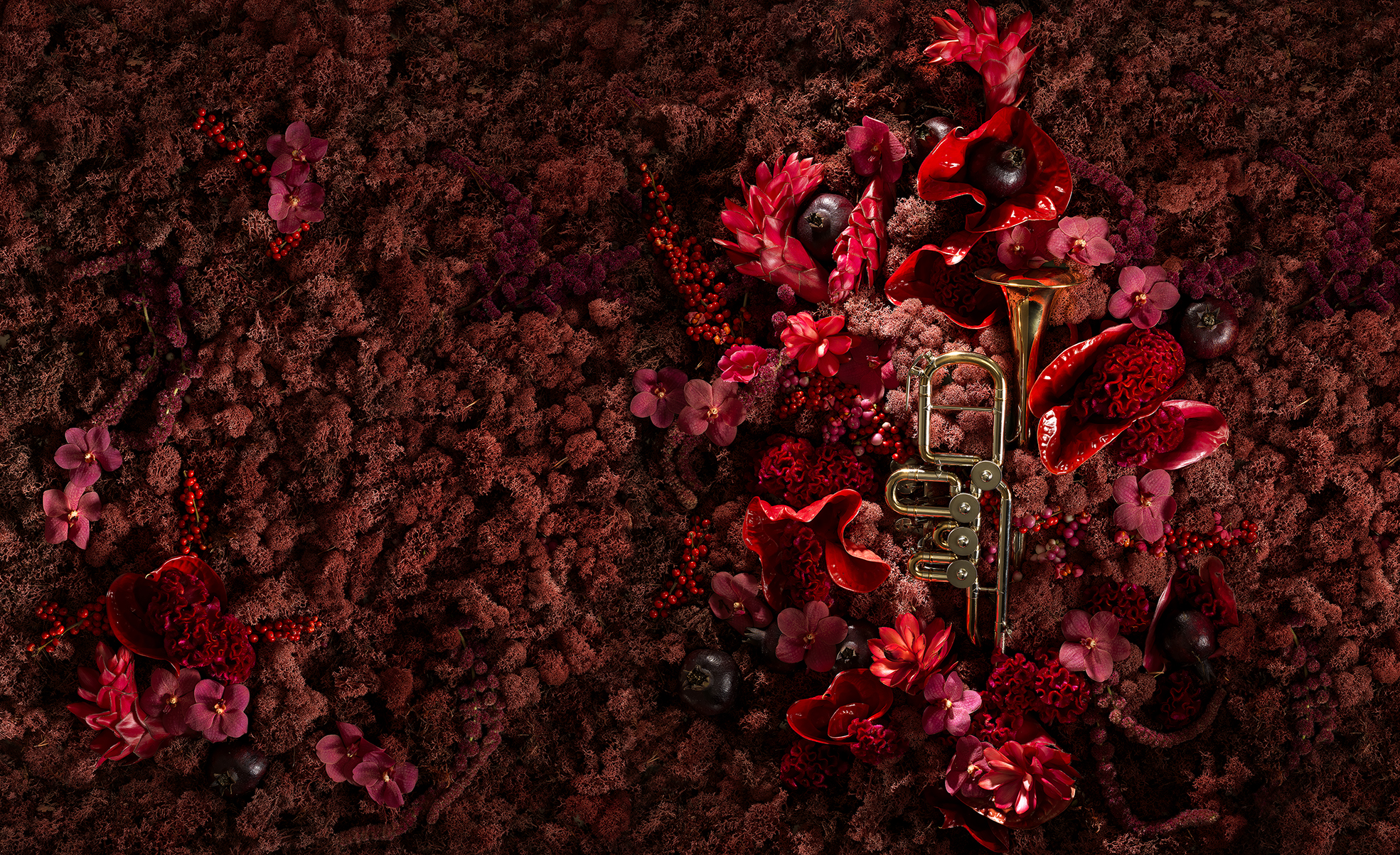 19_12_12 _Jul_sso_small