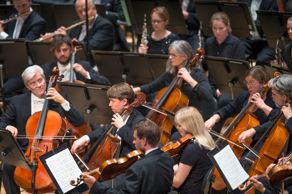 SSO: Serenader og elegier