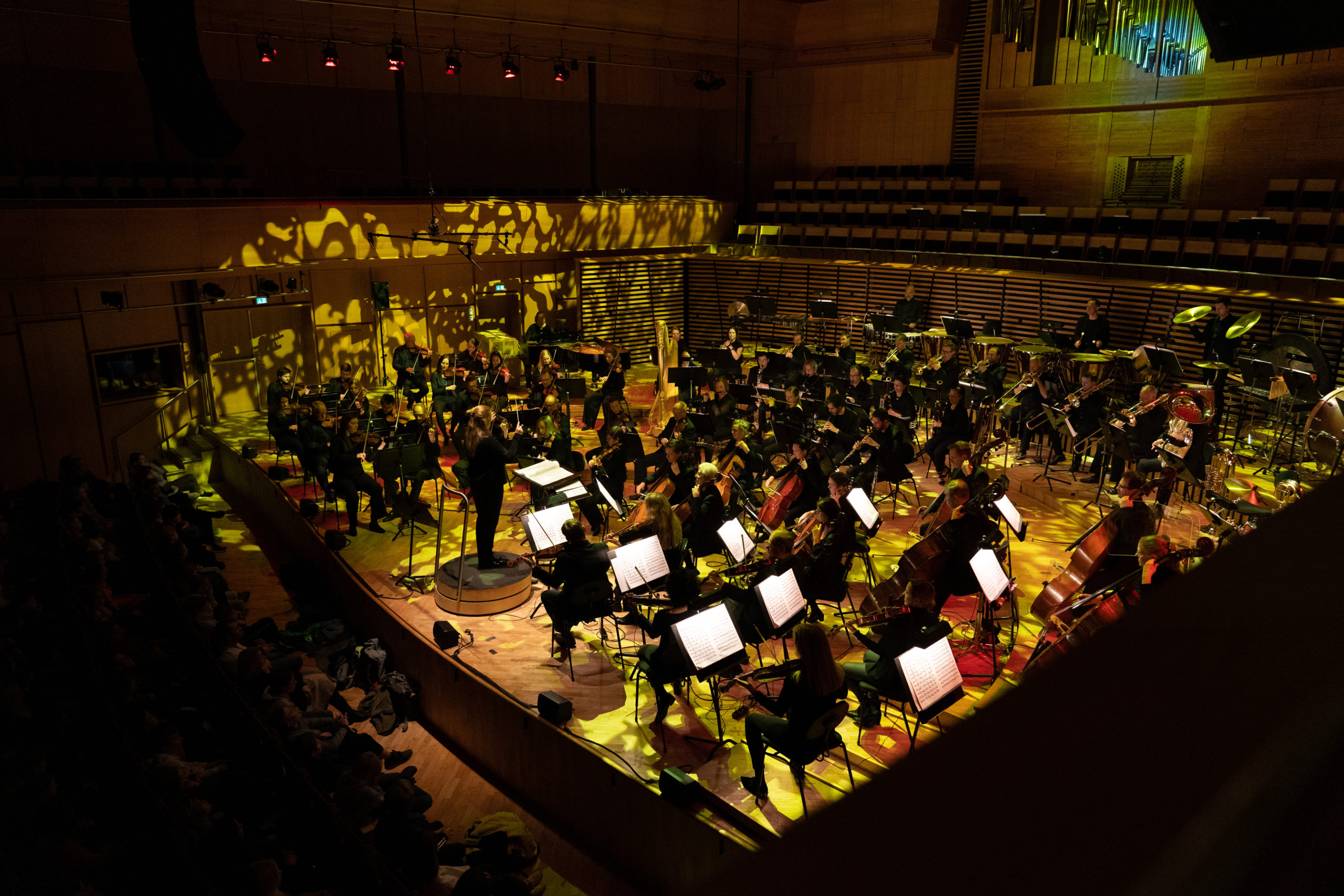 SSO skolekonsert Fotograf Erik Sæter Jørgensen-33